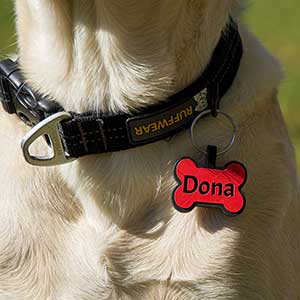 Dona - Hunde/katte tegn Rød knogle i silikon