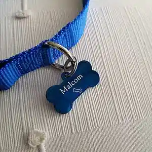 Malcom - Médaille Cercle Plein en Acier Inoxydable Bleu
